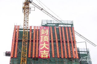 匠心筑夢(mèng) 榮耀封頂——宏晟學(xué)林世家建設(shè)工程圓滿(mǎn)封頂